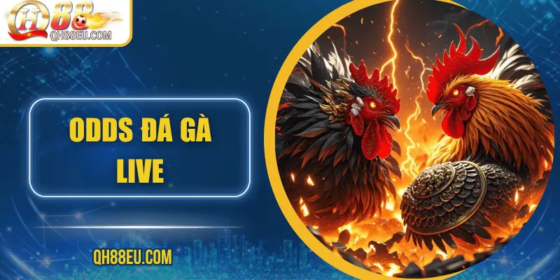 odds-da-ga-live